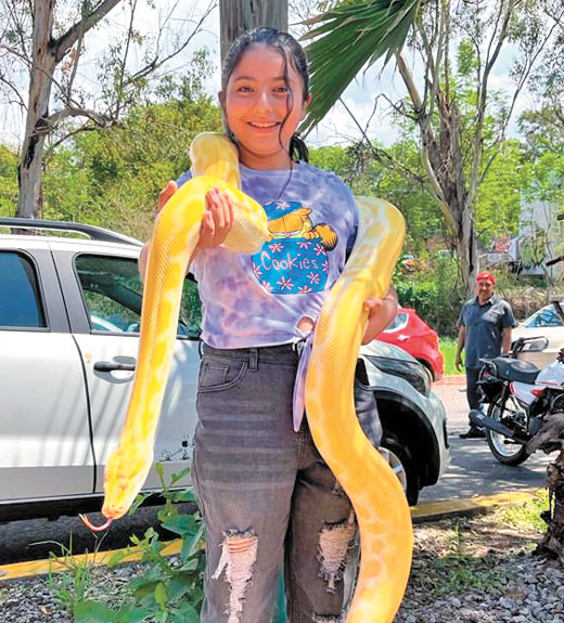 Amaya Torres Sa �nchez